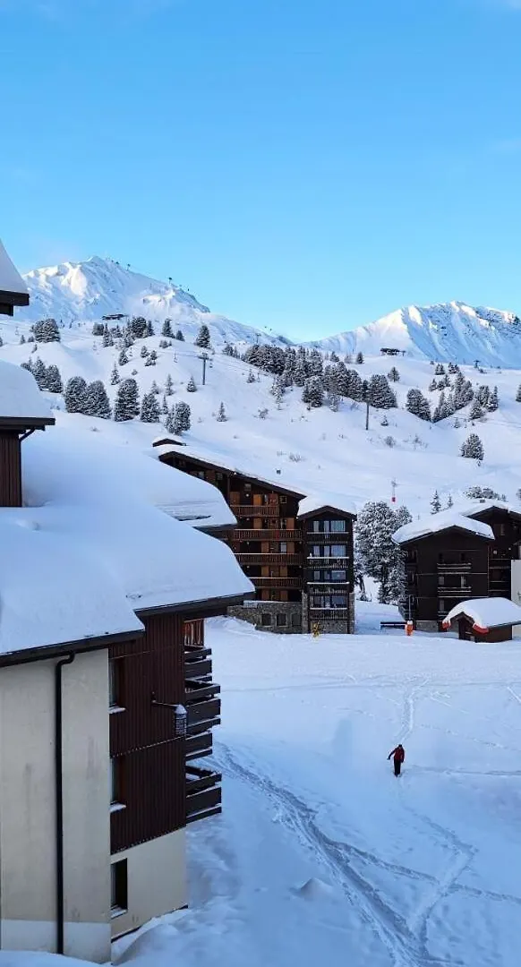 Residence Les Chalets Des Arolles - Maeva Home - Charmant Studio 4 Personnes - Confort - Super Home Mae-9741 La Plagne
